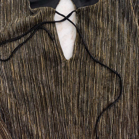 Gold and Black Dress - Picture 4 of 6